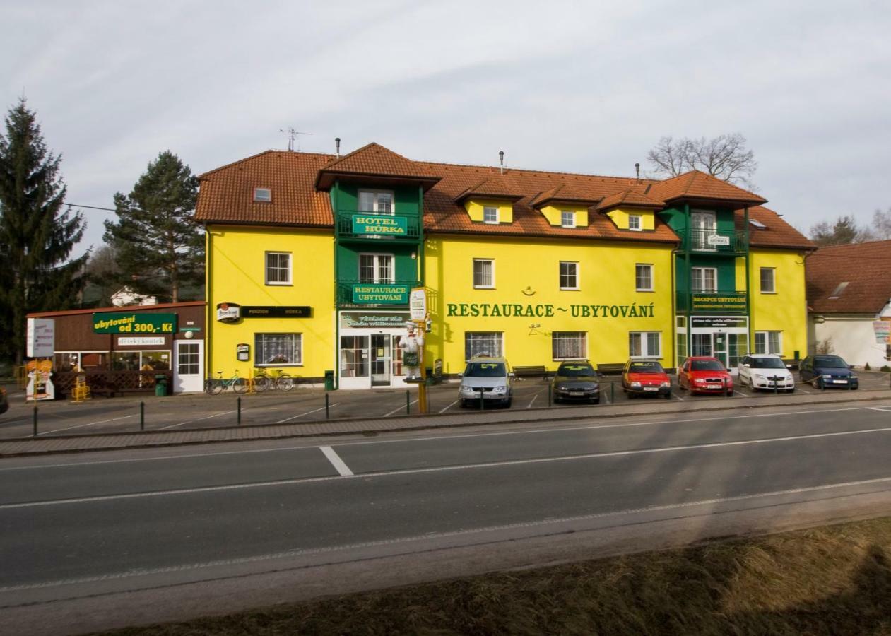 Hotel Penzion Hůrka Dolni Libchavy Exterior foto