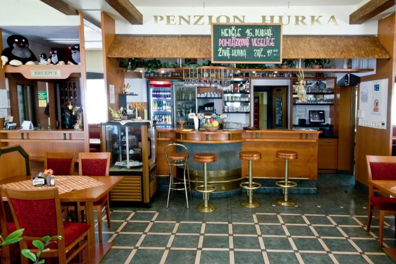 Hotel Penzion Hůrka Dolni Libchavy Exterior foto